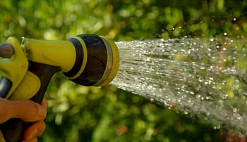 person, holds, yellow, black, nozzle spray, green, plant, watering, water jet, gardener, drop