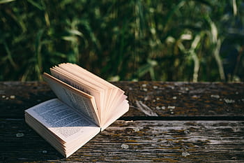 danau, buku bacaan, musim panas, buku, notebook terbuka, waktu, dermaga tua, malam, jam ajaib, dermaga kayu, papan kayu