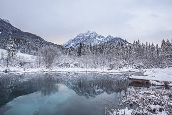 trees, mountains, covered, snow, body, water, grey, sky, twilight, body of water, blue