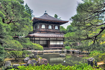 bílý, Černá, dojo, zelená, listoval, stromy, chrám ginkaku-ji, zahrada, kyoto, Japonsko, Příroda