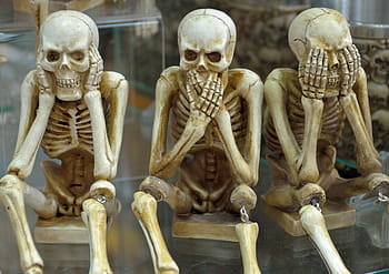 three, wise, skeletons figurine, skeletons, funny, hear no evil, speak no evil, see no evil expression, halloween, skull, dead