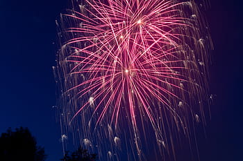 写真、 ピンク、 花火、 大晦日、 夜、 シルベスター、 ロケット、 元日、 火花のシャワー、 赤、 噴水