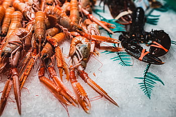 ラ、 ボケリア、 食品、 市場、 バルセロナ、 スペイン、 ラボケリア、 食品市場、 バルセロナスペイン、 果物、 健康