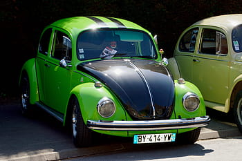 ladění vw brouka, vozy volkswagen, typ 1 brouka, stará auta, volkswagen, slunéčko sedmitečné, vinobraní, klasické auto, staré vozidlo