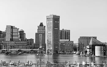 architektura, město, mrakodrap, panoráma, panoráma města, baltimore, vnitřní přístav, federální kopec, metropole, budova, v centru města
