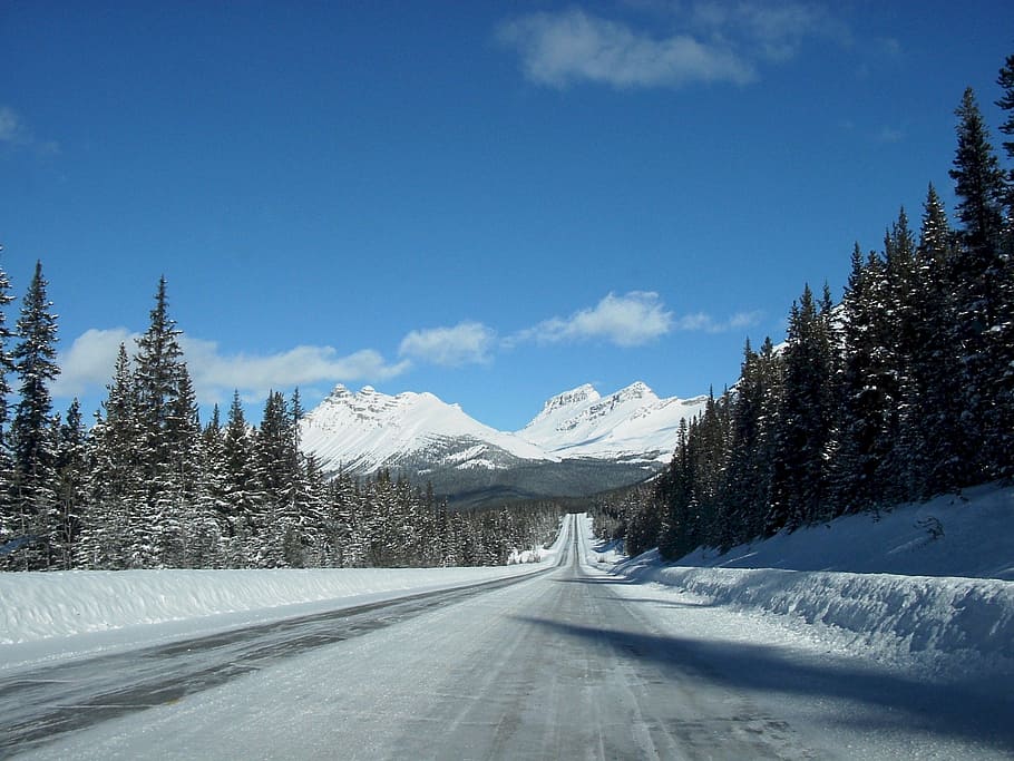 icefields parkway, sníh, scénický, hora, alberta, Kanada, krajina, Příroda, nebe, park, venkovní