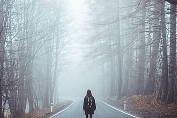 woman, standing, bare, trees, daytime, fog, mist, road, lost, girl, eerie