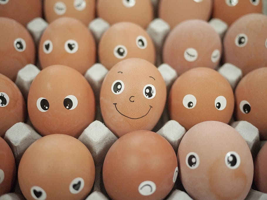 closeup, eggs, tray, easter, easter eggs, sparkling eyes, gaze, concentration