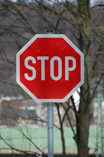 stop, štít, Varování, bílý, Červené, warnschild, ulice znamení, dopravní značka, stopka, text, varovná cedule