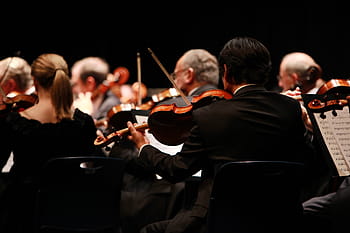 orchestr, symfonie, etapa, provádění, představení, koncertů, hudba, housle, hudebník, výkon, jen dospělí