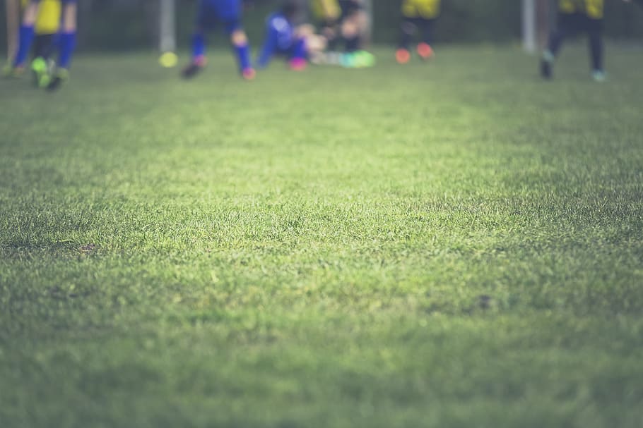 Bezárás, fénykép, zöld, fű, futball, játék, labda, focista, Sport, rohanás, futballpálya
