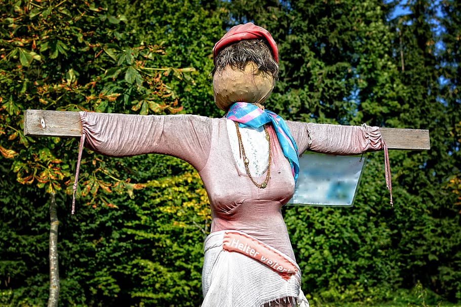 scarecrow, woman of straw, figure, silhouette, human, bird control, bird, field, agriculture, country life, defense