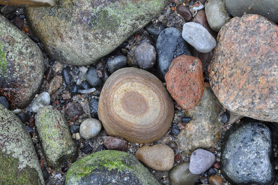 spiaggia, pietre, mare Baltico, roccia - oggetto, fotogramma intero, pila, all'aperto, nessuno, giorno