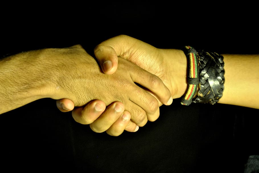 dva, osoba, třepáním, ruce, handshake, potřesení rukou, podnikání, dohoda, obchod, partnerství, lidé