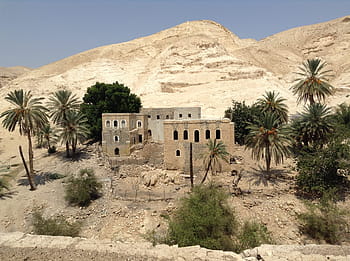 brown, stone house, palm trees, oasis, desert, israel