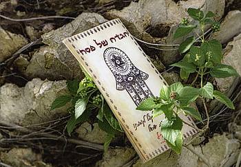 Pesach, pesah, Jeruzalém, kultura, tradiční, Dovolená, oslava, šťastná Pesach, pesach haggadah, haggada na velikonoce, seder