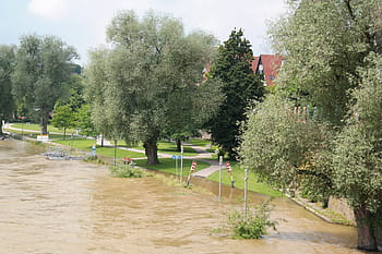 zelená, stromy, vedle, řeka, během dne, krajinářské fotografie, vysoká voda, silnice, zamčené, poškození, povodňových škod
