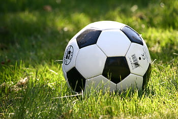 soccer ball, green, grasses, daytime, football, grass, play, football games, soccer, garden, summer