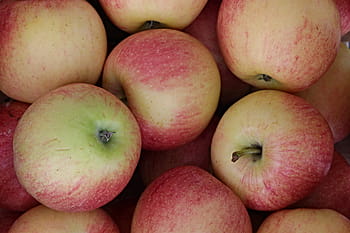 apple, fruit, healthy, autumn, kernobstgewaechs, frisch, food, eat, apfelernte, vitamins, fruits