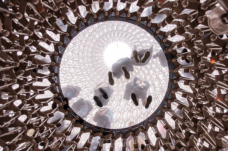 exhibition, pavilion, england, architecture, construction, hive, exposure, fingerprint