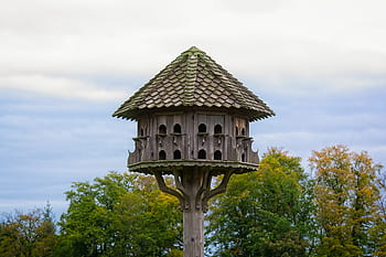 voliéra, Příroda, pták, místo krmení, krmení, dřevo, ptačí krmítko, hnízdiště, dobrých životních podmínek zvířat, Ochrana přírody, přístřeší