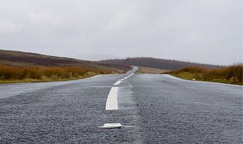 asfaltweg, omgeven, gras, laag, hoek, foto, asfalt, weg, bestrating, bewolkt, de weg vooruit