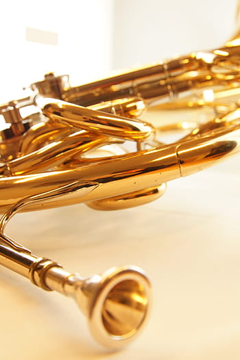 Horn, Musical Instrument, music, brass instrument, french horn, gold colored, trumpet, metal, gold