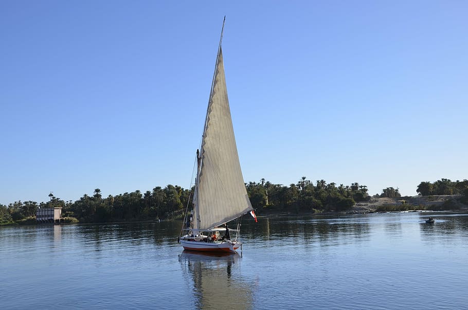 Egypt, felucca, Nil, námořní plavidlo, plachetnice, plachtění, plachta, voda, sport, venku