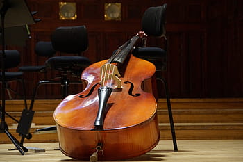 hölzern, Cello, gelehnt, Stuhl, Bass, Kontrabass, Musikinstrument, Zeichenfolge, Konzert, klassische Musik