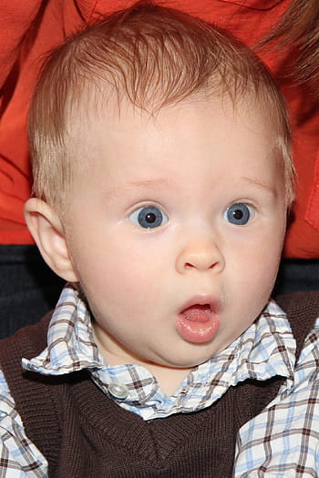 baby reacting shock, Baby Boy, Surprise, Expression, Cute, kid, emotion, amazement, baby, child, people