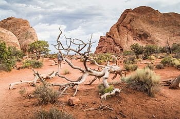 klišé přírody utah, utah, Příroda, klišé, bestamericanroadtrip, skály, poušť, krajina, scén, suché podnebí, rock - objekt