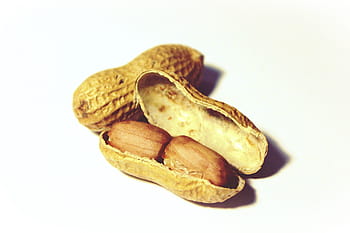 arachidi sed, arachidi, noccioline, spuntino, nutrizione, salutare, sgranocchiare, decorazione, vicino, knabberzeug, conchiglia