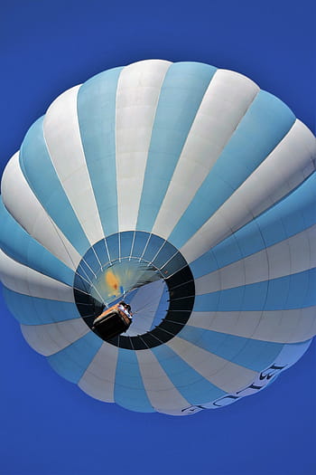 festa in mongolfiera albuquerque, palloncini, cielo, colorato, blu, modello, volo, viaggio, divertimento, ricreazione, luminosa
