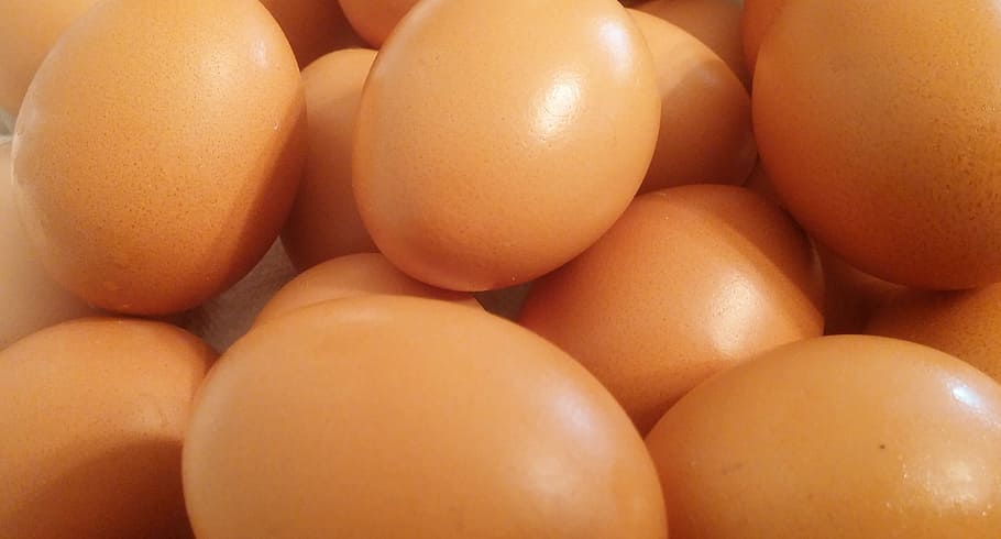 brown eggs, Eggs, Food, Shell, Brown, Oval, Chicken, nutrition, healthy eating, food and drink, close-up