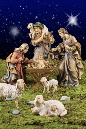 sheep, lamb, animal, schäfchen, christmas, reborn, young sheep, schäfer, jesus, maria, josef
