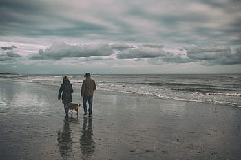 coppia, camminare, cane, invernale, giorno d'inverno, est, Sussex, giorno, sabbie da camber, Sussex orientale, Inghilterra