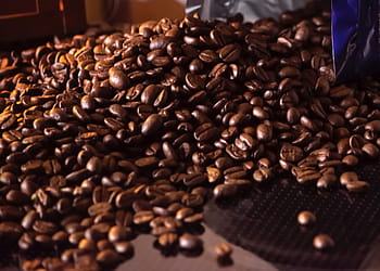 Coffee beans, beans, brown, coffee, ingredient, roasted, bean, caffeine, coffee Bean, drink, coffee - Drink