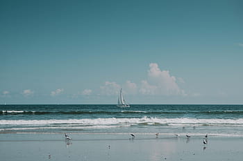 sailboat, seashore, daytime, white, middle, sea, clear, blue, sky, ocean, water