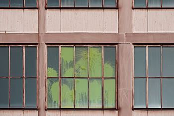 green, painted, window, daytime, panes, wooden, glass, paint, crack, wall, building