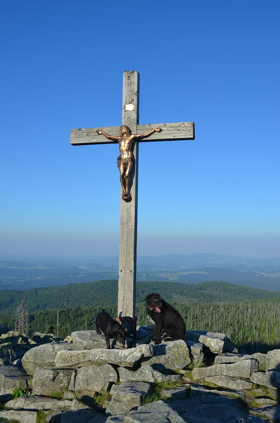letní, summitu, modrá obloha, letní den, nebe, modrý, kříž, lusen, hora, bavorský les, Pes