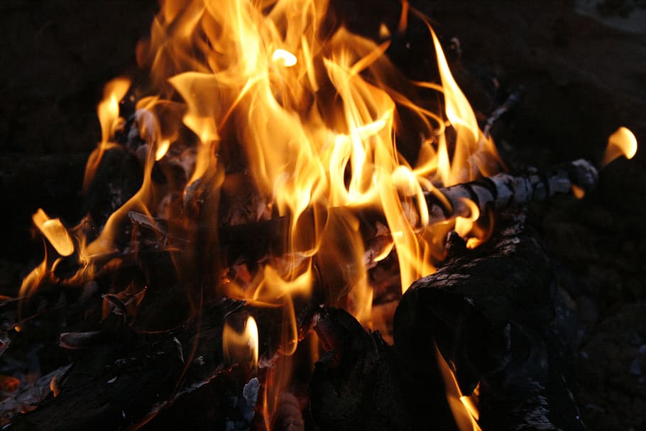 Bonfire, Flames, Wood, Burn, Campfire, smoke, burning, leisure, night, ember, glow