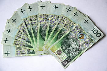 eurobankovek, polské bankovky, peníze, měna, finance, bezpečný, zlato, pln, vektorový obrázek