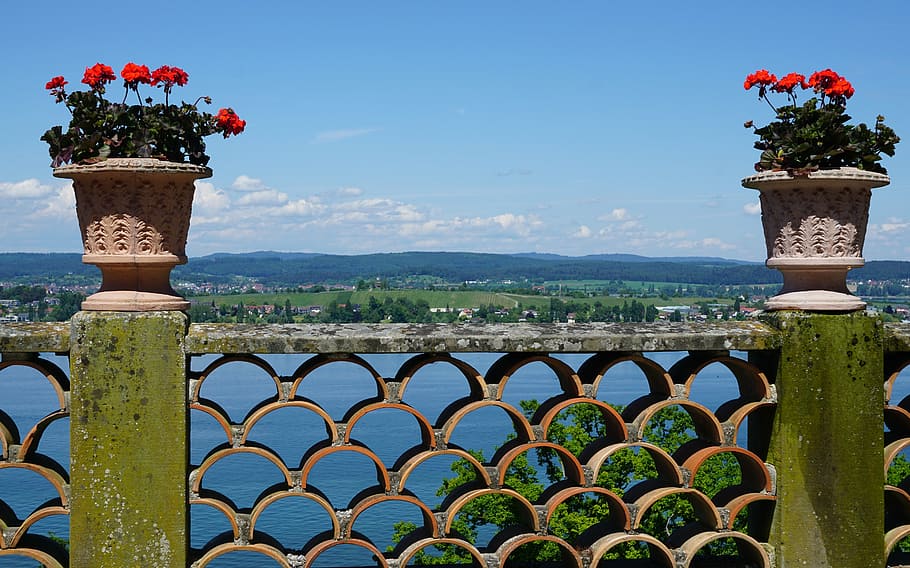 thurgau, salenstein, reichenau, untersee, lake constance, home, switzerland, flower, architecture