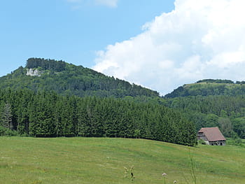 wenzel, kámen, swabian alb, wenzel kámen, letní den, rána pěstí, ovce hory, zollernalb, bílé okapy, túra, více