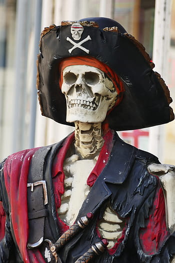 red, black, skeleton, pirate costume, daytime, pirate, skull, symbol, bone, danger, head