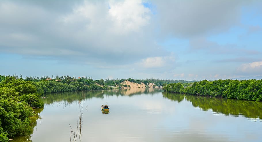 la barca, il singolo, sul lato del fiume, tazza interna, peng chau