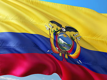 sárga, kék, piros, zászló, közeli fotózás, nemzetközi, Ecuador