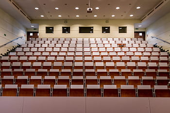 gray bleachers, room, lecture hall, assembly hall, audience, lectures, school, university, the university, the jan kochanowski university, kielce