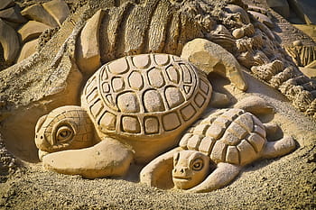 turtle sand, carving, sandburg, art, sand sculpture, sculpture, sand, statue, sand picture, artwork, castle