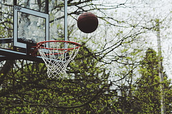 basketball ball, ring, daytime, green, trees, plant, nature, outdoor, basketball, ball, play